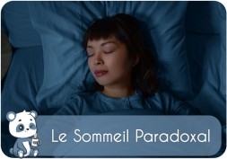 Le sommeil paradoxal | définition, rôle et bienfaits